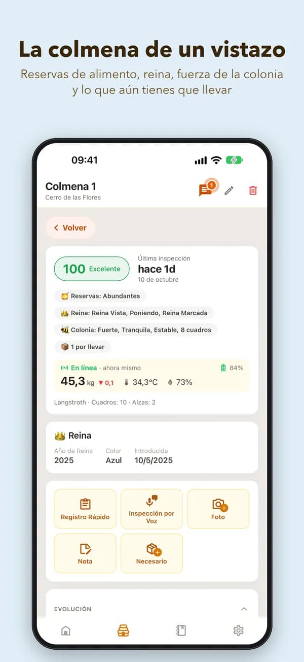La colmena de un vistazo. Reservas de alimento, reina, fuerza de la colonia y lo que aún tienes que llevar