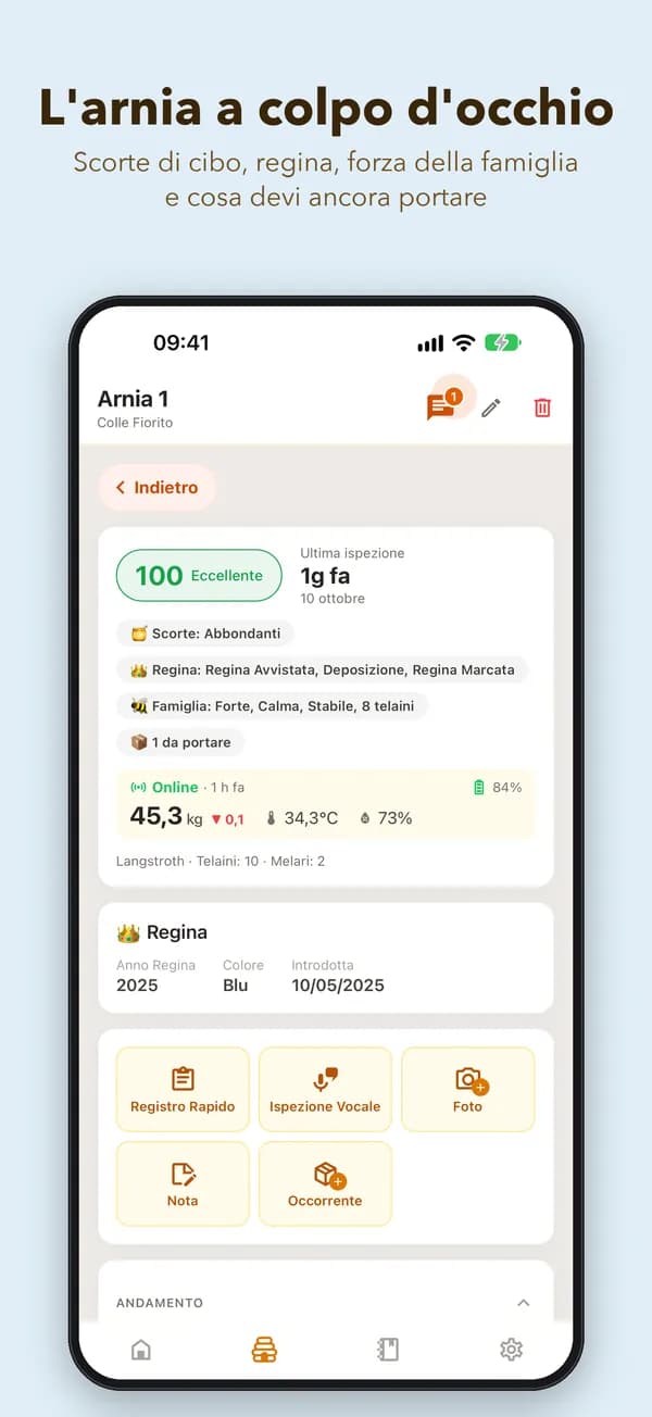 L'arnia a colpo d'occhio. Scorte di cibo, regina, forza della famiglia e cosa devi ancora portare