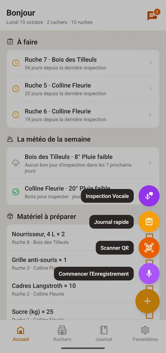Touchez le bouton +, choisissez «Journal Rapide» et la ruche